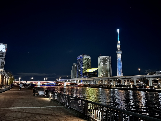 よもぎ蒸しで心と身体を癒す！浅草の贅沢なハーブトリートメント体験