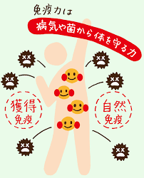施術内容とコースのご紹介